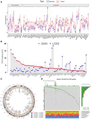 Computational Characterizing Necroptosis Reveals Implications for Immune Infiltration and Immunotherapy of Hepatocellular Carcinoma